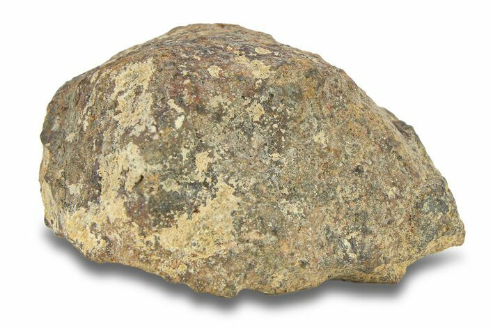 Gold Basin Chondrite Meteorite ( g) - Arizona #282785